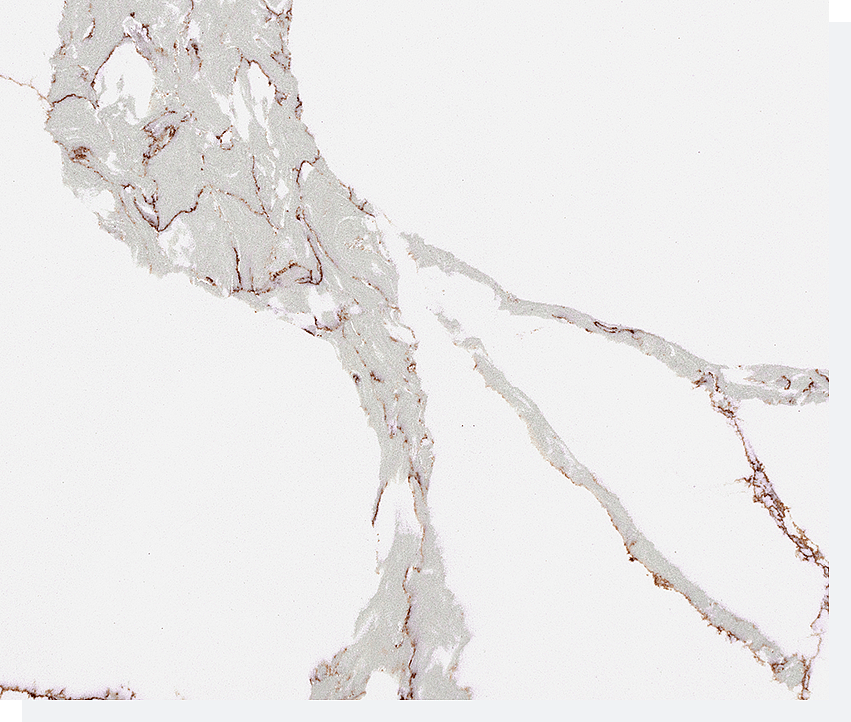 The 5 Most Popular Calacatta Quartz Style 5 Stone Surfaces PMC2282