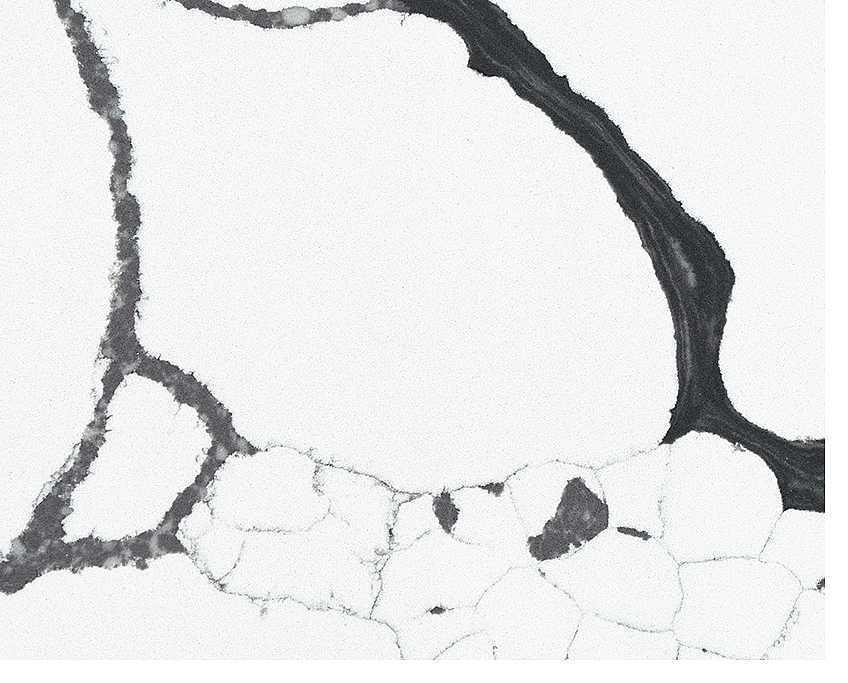 Top 3 Calacatta Quartz Designs for a Luxurious Home 3 Stone Surfaces PMC2264