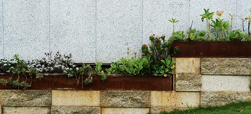 Granite Dotted with Flowers and Plants In Nature