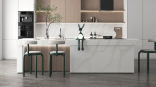 Stone Surfaces PMC1872