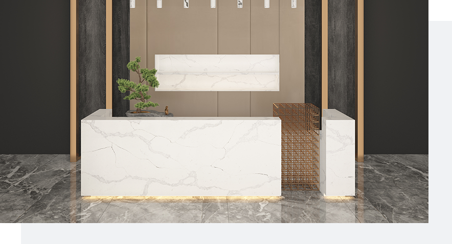 Stone Surfaces PMC1582
